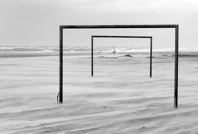 针对性地撰 针对性地撰