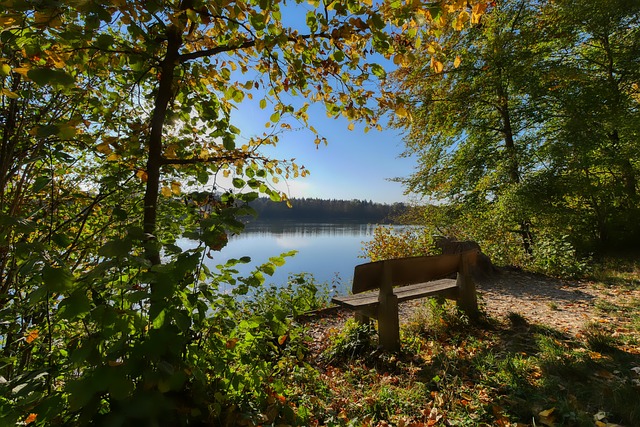 冬小麦是农 冬小麦是农