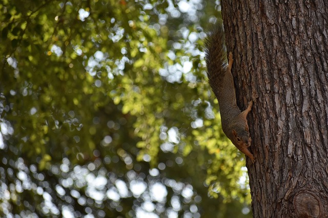 然结合的方 然结合的方