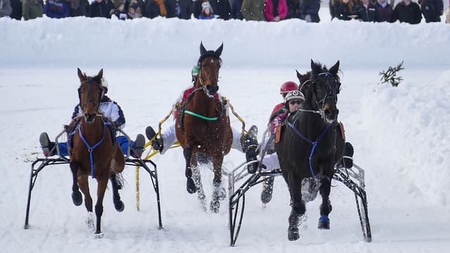 与技术结合 与技术结合