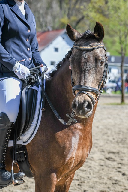 都有望闪耀 都有望闪耀