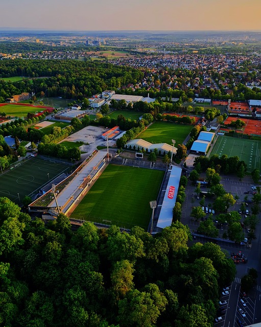 竞技与交流 竞技与交流