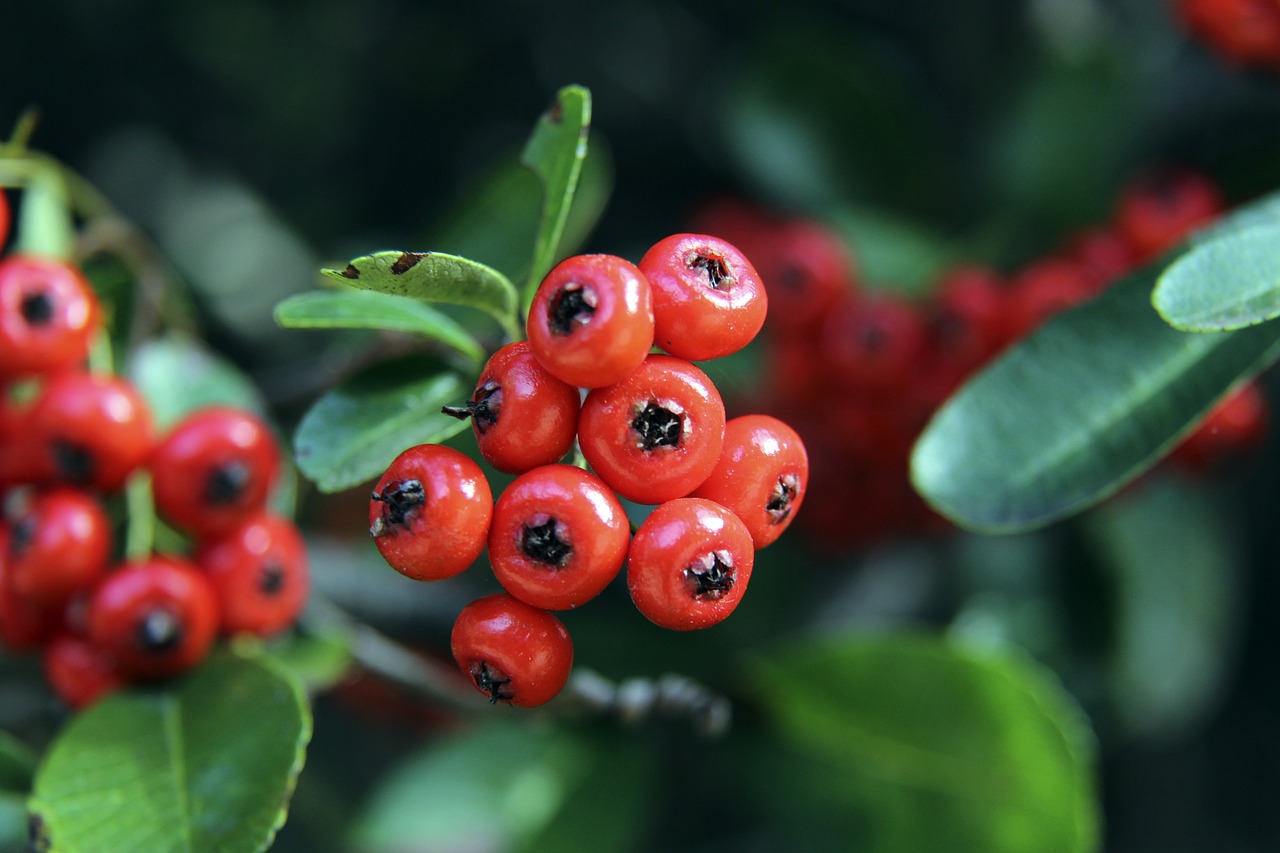 應透過適當 應透過適當