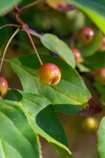 队打入关键 队打入关键